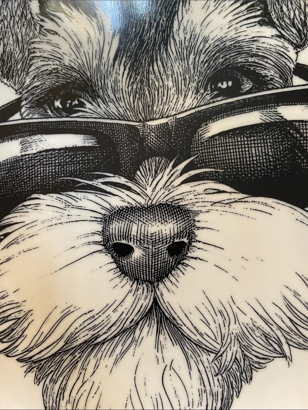 Williams Sonoma Rory Dobner Ink-Illustrated Schnauzer Dog Plate w/Sunglasses NEW